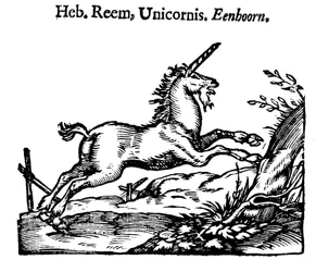 Jednorożec, 1644