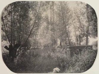 Pejzaż bez tytułu z psem, c. 1910.