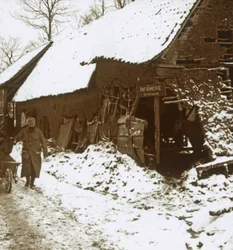Stacja weterynaryjna dla koni, Calonne, północna Francja, c1914-c1918