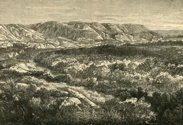 Widok w Dolinie Jordanu, 1890 r.