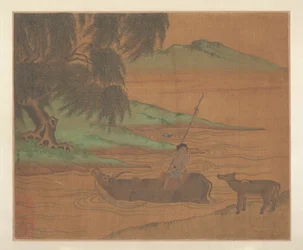 Wodny bawół.