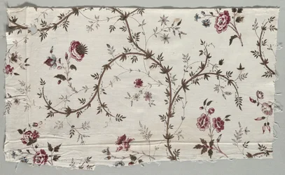 Fragment bawełny z nadrukiem w drewnie, 1785.