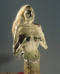 Istota pół kobieta, pół wąż, potomek Meluzyny, 1900