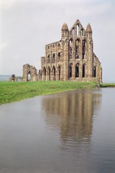 Widok na opactwo Whitby, North Yorkshire