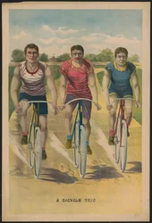 Trójka rowerowa