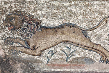 Lew - Fragment fryzu przedstawiający sceny z polowania obok panelu przedstawiającego pierwszą kąpiel Achillesa - Mozaiki Pafos, willa Tezeusza, V wiek ne - Cypr - Lew - Fragment fryzu przedstawiający sceny polowań wokół represje mozaikowe