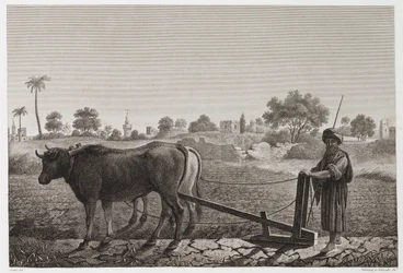 Rolnictwo, Orka Orka wołami, Egipt, ok. 1798