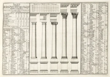 Architektura