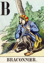 B : Braconnier - Alfabet myśliwski, c.1890 (rycina)