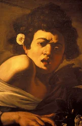 Chłopiec ugryziony przez jaszczurkę (detal), dzieło Caravaggia, Palazzo Ducale, Genua, Liguria, Włochy