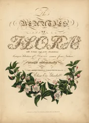 Kaligraficzna strona tytułowa z winietą botaniczną