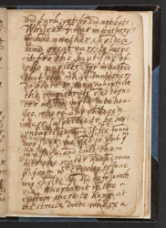 Pewne stare historie nagrane przez starą szlachciankę na jakiś czas przed jej śmiercią, do przejrzenia przez jej dzieci i potomność