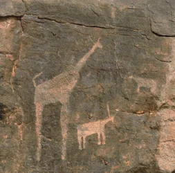 Zbliżenie prehistorycznych malowideł, pustynia Tenere, Niger