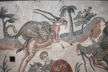 Szczegóły wielkiej mozaiki polowania. Lampart atakujący gazelę. III - IV wiek. Rzymska willa Casale, Sycylia. UNESCO.