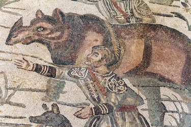 Szczegóły wielkiej mozaiki polowania. Nosorożec jest wprowadzany na łódź, aby przetransportować go do najbliższego portu. III - IV wiek. Rzymska willa Casale, Sycylia. UNESCO.