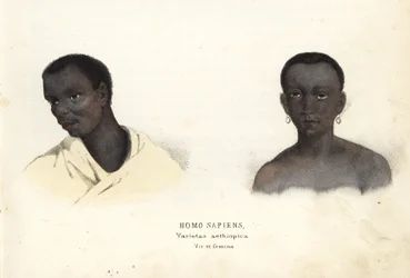 Etiopski mężczyzna i kobieta. Ręcznie kolorowany staloryt z Galerii Historii Naturalnej Georga Friedricha Treitschke, Naturhistorischer Bildersaal des Thierreiches, Liepzig-1842.