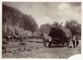 Sceny rolnicze, zbiory i przechowywanie, sianokosy sprzed 1900 r., ok. 1890 r