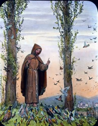 Franciszek