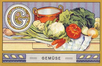 G: warzywo - alfabet palmowy. Seria chromolitografii pod redakcją H. Schlincka i Cie, Hamburg, s. d. . Reklama najlepszego tłuszczu kokosowego firmy Palmin. Wymiary: 7 x 11 cm