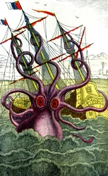 Kałamarnica olbrzymia
