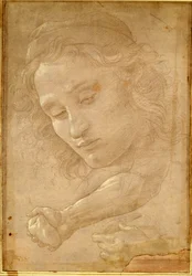 Głowa młodzieńca, czerpiąca ze strony „Libro dei Disegni” Giorgio Vasari