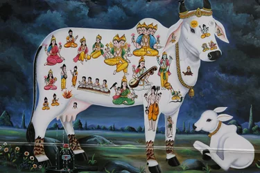 Malarstwo hinduskie. Święta krowa i cielę. Indie
