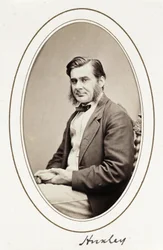 Huxleya, ok. 1865 r