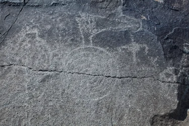 Indiańskie petroglify - Przedstawienia zwierzęce i symboliczne - Pomnik Narodowy Petroglifów - Albuquerque, Nowy Meksyk, USA (USA)