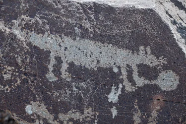 Indiańskie petroglify przedstawiające zwierzęta - Pomnik Narodowy Petroglifów - Albuquerque, Nowy Meksyk, USA (USA)