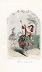 La fee de la fleur de grenade danse - Akwaforta autorstwa Charlesa Geoffroya (1819-1882), na podstawie ilustracji Jeana Ignace