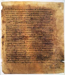 Zwój rękopisu: palimpsest.