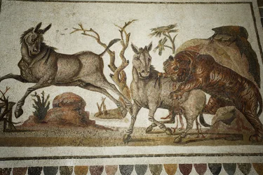 Mozaika walki zwierząt: tygrys atakujący dwie nocne prymasy. II s AD/Musee d