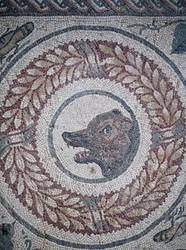 Mozaika perystylu. Detal przedstawiający głowę niedźwiedzia. III - IV wiek. Rzymska willa Casale, Sycylia. UNESCO.