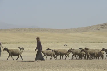 Nomadyczne namioty między Tamar a Aszchanią, Iran 2022 (fotografia)