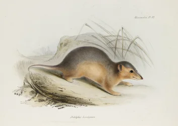 Naprzeciwko, ok. 1832-1836