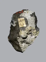 Chondryt zwyczajny (LL5). Spadł w Sienie (Włochy) w 1794 roku. Narodowe Muzeum Historii Naturalnej, Paryż.