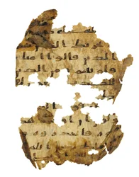 Strona z niezapisanego palimpsestu Koranu skopiowanego na wcześniejszą Biblię koptyjską, prawdopodobnie Egipt, ok. VIII w. (tusz na welinie)