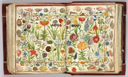 Kartki z Albumu Amicorum Philippa Hainhofera, 1596-1633