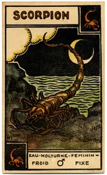 Paranormalne. Astrologia. Skorpion (Skorpion). Karta astrologiczna z: Le Tarot Astrologique (Astrological Tarot), Georges Muchery, Francja