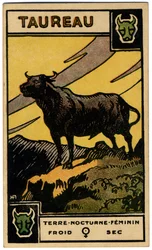 Paranormalne. Astrologia. Byk (byk). Karta astrologiczna z: Le Tarot Astrologique (Astrological Tarot), Georges Muchery, Francja