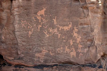 Sztuka naskalna, prehistoria: Grawerowanie grupy bydła, strusi i postaci w masywie Uweinat w Sudanie (Karkur-Talh lub Karkur Talh). Okres od 8000 do 3000 lat pne. Fotografia