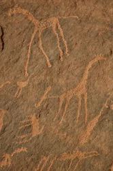 Sztuka naskalna, prehistoria: grawerowanie żyraf, strusi, innych zwierząt i postaci w masywie Uweinat w Sudanie (Karkur-Talh lub Karkur Talh). Okres od 8000 do 3000 lat pne. Fotografia