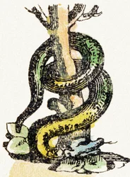 S - Serpent - Child Entertainment Alphabet c.1890 (litografia)