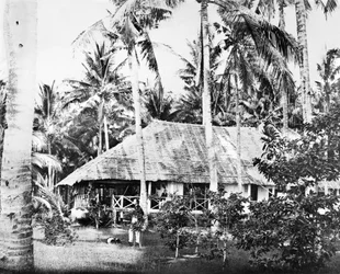 Singapur: prywatny bungalow otoczony palmami. Singapur, ok. 1875 r.