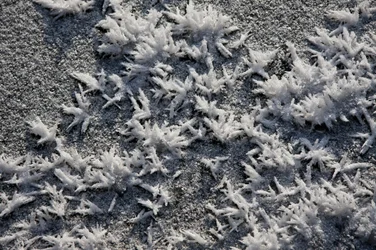 Śnieg i lód (zdjęcie)