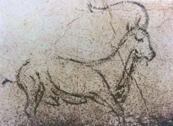 Hiszpańska koza niania, okres paleolitu, ok. 40000-12000 p.n.e. (malarstwo naskalne)