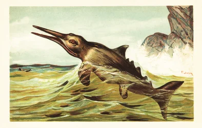 Stenopterygius quadriscissus, wymarły ichtiozaur.1908 (litografia)