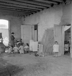 SACCA San BIAGIO IN GIUDECCA (WENECJA): wyspa laguny, na której gromadzone są wysypiska śmieci w Wenecji, mieszkańcy. 1965
