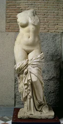 Sinuessa Afrodyta (marmur)