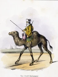 Szybki Posłaniec”, ok. 1845 r